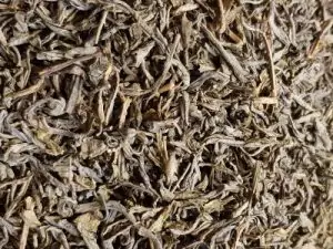 Teeboutique Grüner Tee Sorte China Yunnan grün