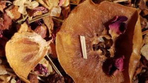 Teeboutique Früchtetee Sorte Persimon Pfirsich