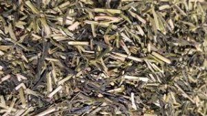 Teeboutique Grüner Tee Sorte Japan Kukicha