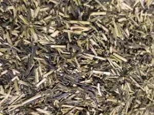 Teeboutique Grüner Tee Sorte Japan Kukicha