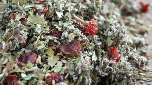 Teeboutique Hausmischung Sorte Thüringer Hexenkraut