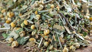 Teeboutique Hausmischung Sorte Weimarer Lern und Denktee