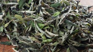 Teeboutique Oolongtee Sorte Weißer Tee "Pai Mu Tan"