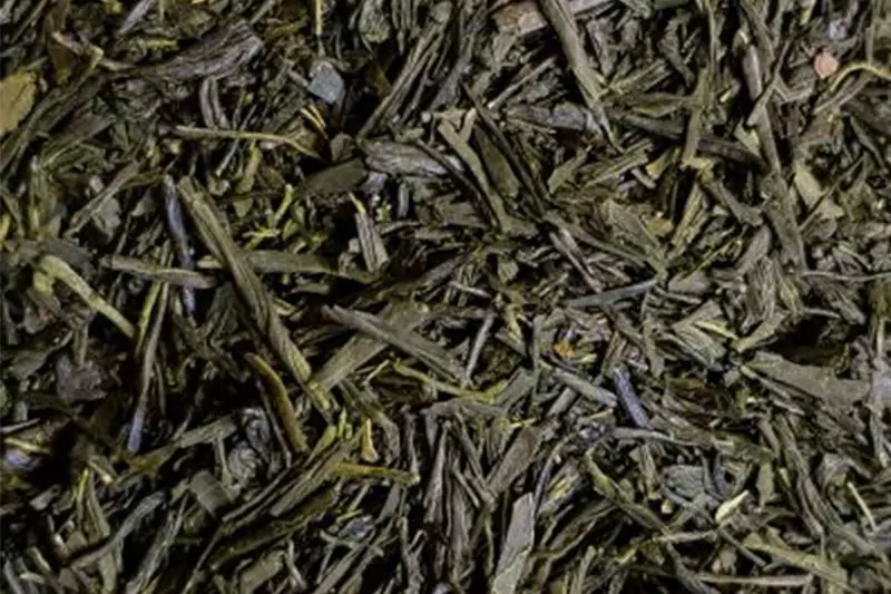 Teeboutique Grüner Tee Sorte Sencha Miyazaki