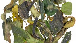 Weißer Tee "Pai Mu Tan Spezial"