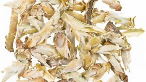 Ya Bao - China Wilde Teeknospen