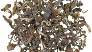 Evergreen Jun Chiyabari Nepal