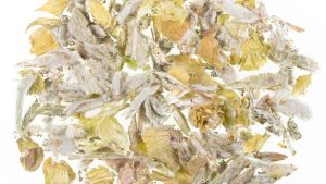 Griechischer Bergtee