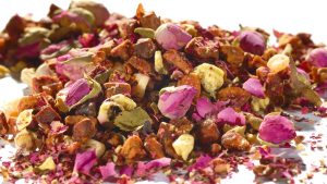 Fürchtete "Birnengarten Kaktusfeige"