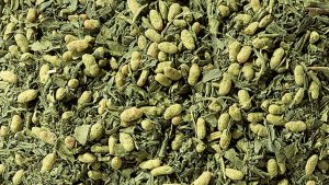 Grüntee "Matcha Genmaicha"