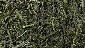 Grüntee "Japan Sencha Fuji"